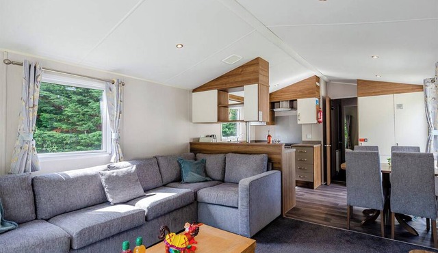 Silver Premium Caravan with parking