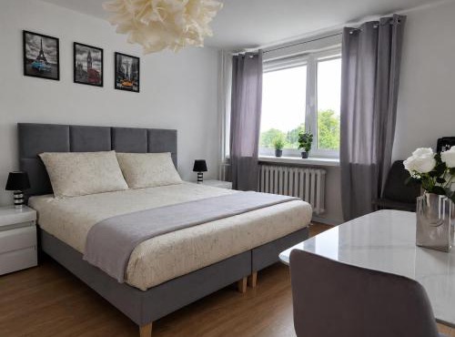 Silver Studio