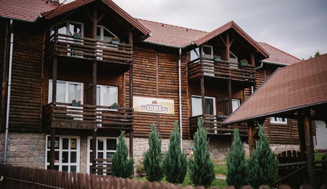 Silver Villa