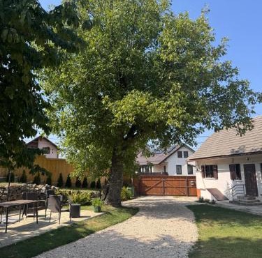 SIM House & Barn