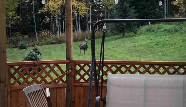 Simcoe B&B - Incredible vacation suite