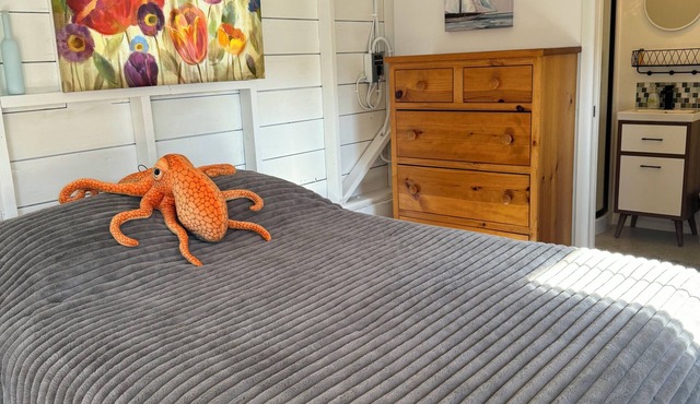 Similk Beach View Studio for two! Central HUB to San Juans and Skagit Valley!