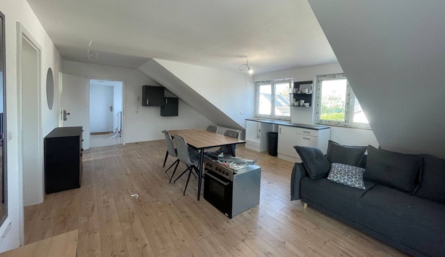 Simplex Apartments in Bruchsal | modern | new