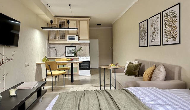 "Singing birds" charming studio in center of Almaty with WiFi, AC