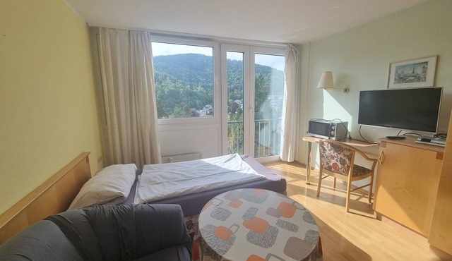 Single Apartment 31' with Mountain View, Shared Pool & Wi-Fi