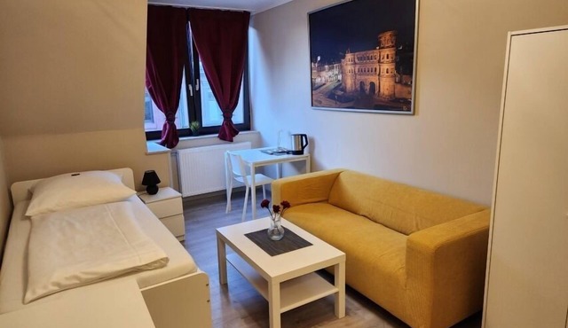 Single apartment with bed and sofa