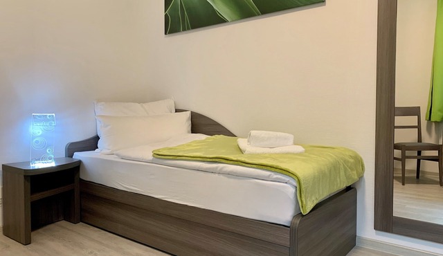 Single room-Classic-Private Bathroom-No view-Apartment