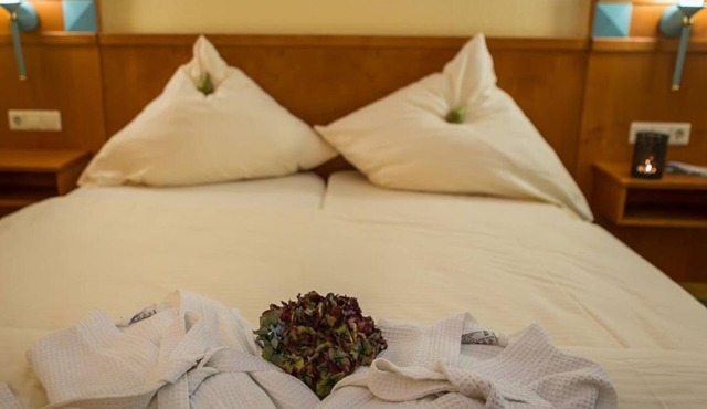 Single room Superior - Waldhotel Felschbachhof