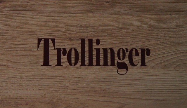 Single room Trollinger - Winzerhof am Schlierbach