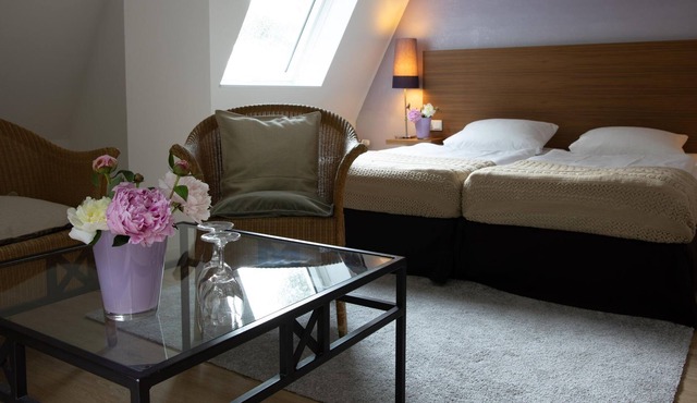 Single room Vulcano Fresh - Hotel Vulcano Lindenhof