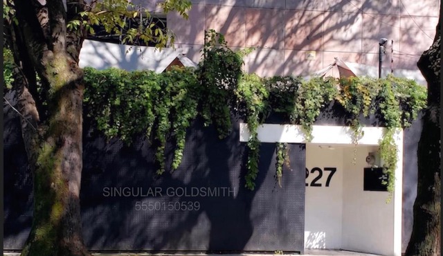 Singular Goldsmith