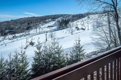 SKI IN/OUT Beech Mtn Views 5 BR House w/Hot Tub