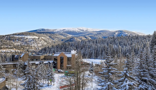 Ski-In/Out Studio | Balcony Views | Dog Friendly