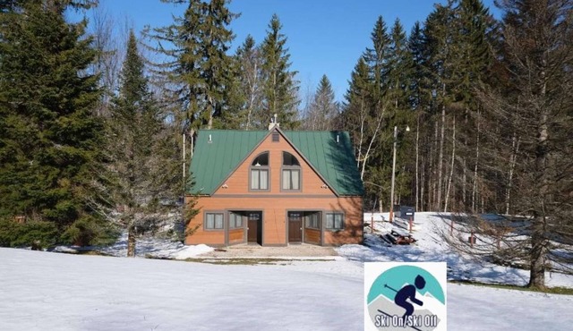 ☆ SKI ON & OFF! ☆ Spruce Glen Cabin 1 on Great Eastern w/AC, Fireplace, Sauna