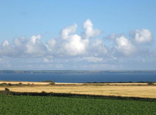 Skomer View Solva
