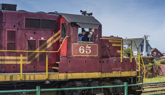 Skunk Train: Wolf Tree Turn from Willits