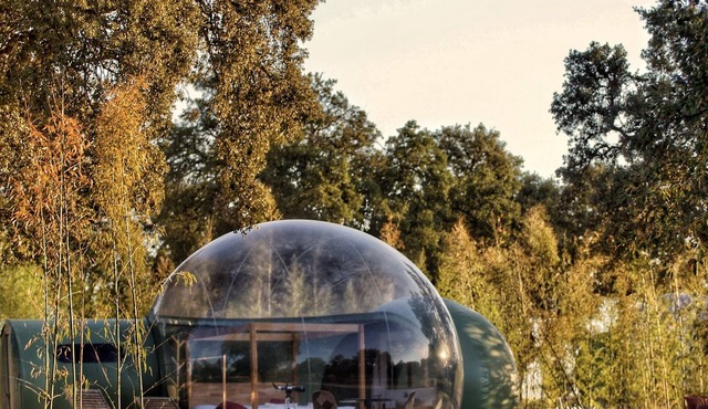 Sky Bubble | El Toril Glamping Experience