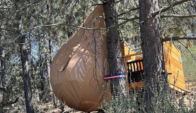Sky Pod/Tree Tent#1