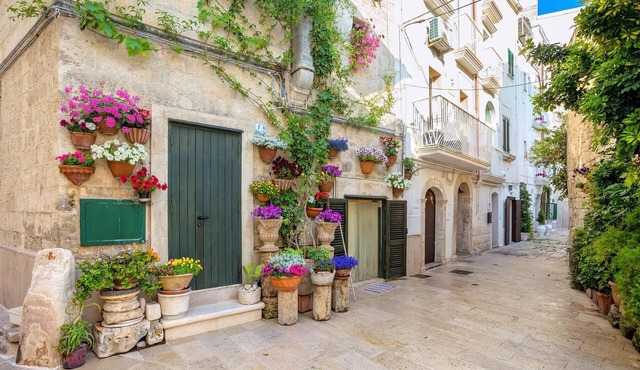 Sky View Apartment Monopoli