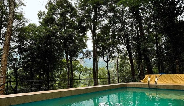 Skyfall Adventures Forest Pool Resort