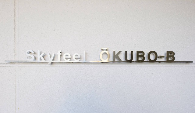 Skyfeel Okubo B