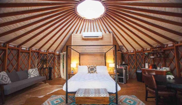 Skylight Serenity, at Wanderin’ Star Farms
