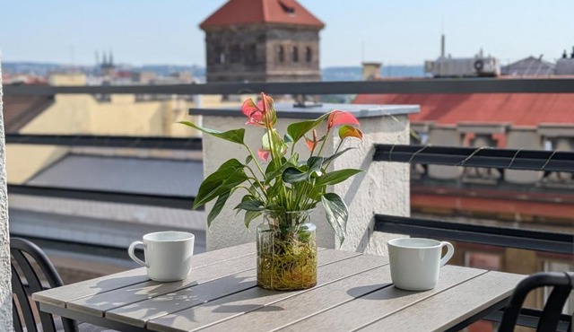 Skyline 3BR Rooftop Terrace Apartment in Center
