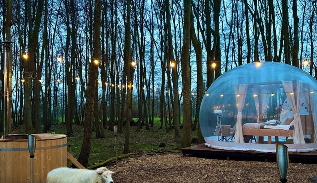 Skyview Bubbletent – Nature, luxury & stargazing just 20 min from Amsterdam