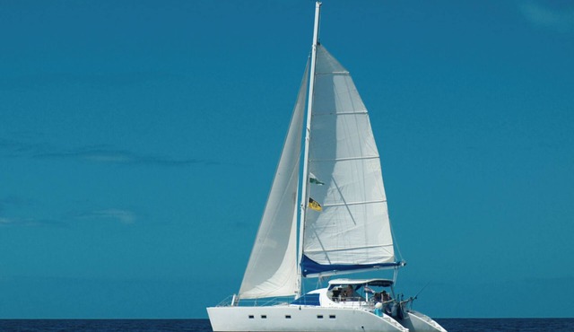 Sleep Under the Stars on a Sailing Catamaran near Amsterdam