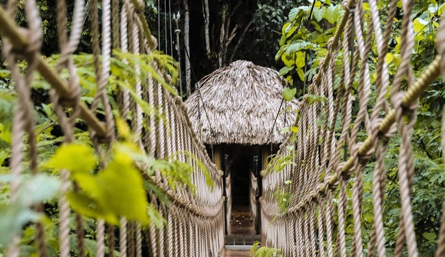 Sleeping Giant Rainforest Lodge