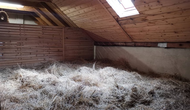 Sleeping on straw/hay bed - Ferienhof Sarodnick