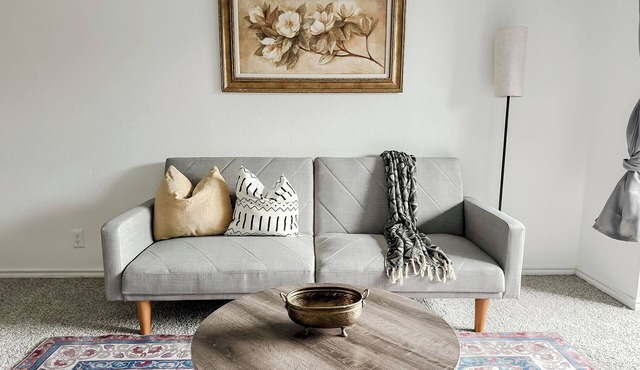 Sleepover : Dashing 1BD/1BA + Gym - Austin TX