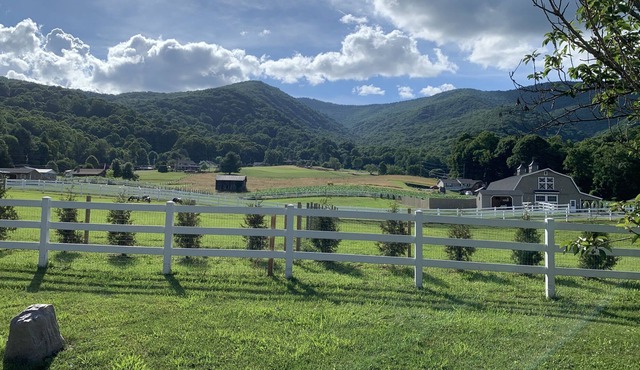 Sleeps 11 - Mountain Views! Enjoy watching Alpacas & Mini Horses from your deck