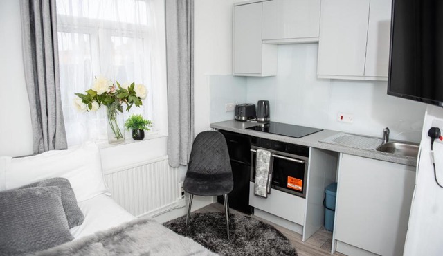 Small But Cozy Studio, Great Tube Connection (D)