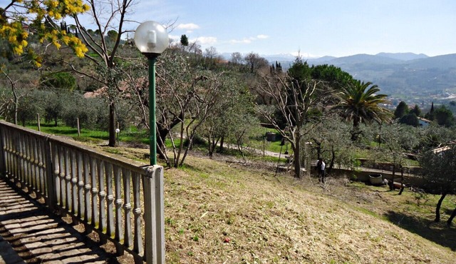 Small, Comfortable Villa In Olive Grove, One Hour Train Ride From Rome