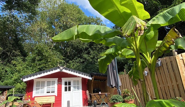 Small cozy forest cottage🏡 in Leipzig right on the edge of the forest to enjoy😊