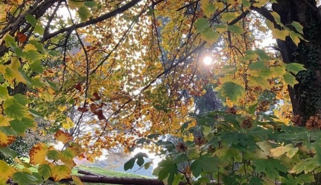 Small familiar hamlet immersed in nature