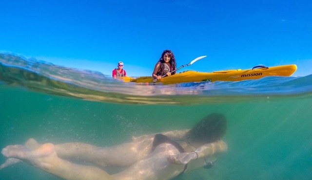 Small-Group 3-Hour Kayak Tour from Marahau, Abel Tasman Park