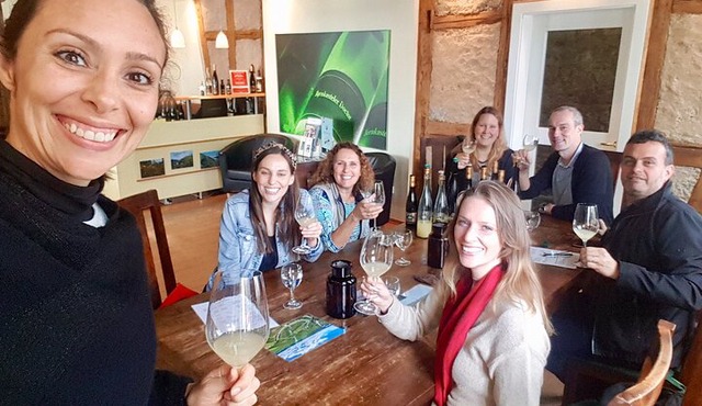 Small Group Rheingau Vineyards Tour with Castles and Abbeys