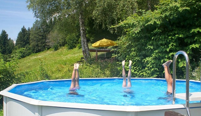 Small Pet-friendly Holiday Park With Nassfeld Card in High Season