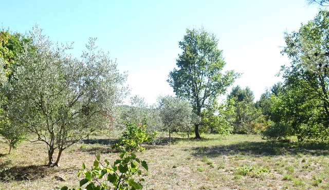 Small Provencal mazet with private pool. Ideal for nature lovers.