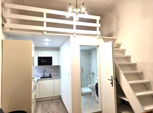 Small studio with loft bed