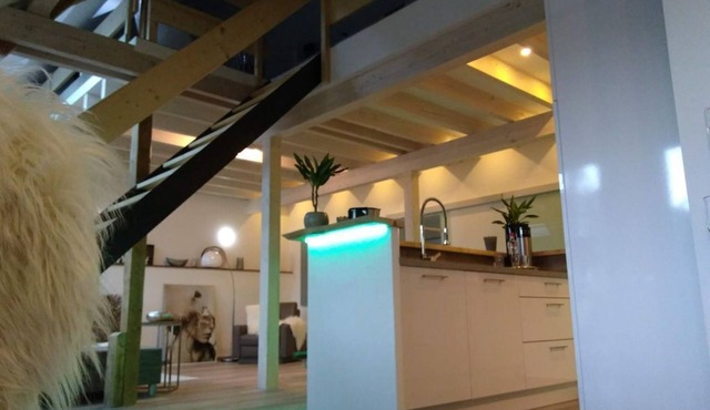 Small time-out 4-bed vacation apartment 2x bath/WC own sauna - Hof Grindelborn,