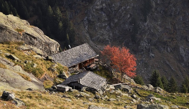 Small town flair South Tyrol - centrally comfortable apartment about 75m² with roof terrace