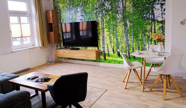 Smart vacation apartment 80sqm with sauna in historic building Ballenstedt in the Harz Mountains
