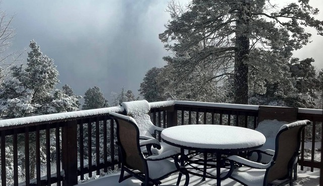 Snow is falling…book now!