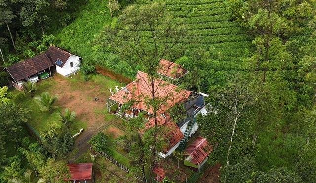 Snow Valley Munnar