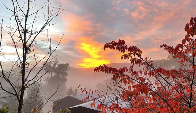 Snowgums Mountain Retreat - the perfect retreat location