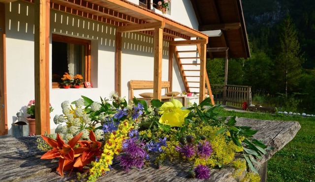 Soča Home With The View