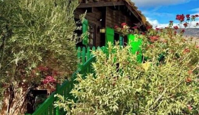 So Bin Junior Suite – Mountain View